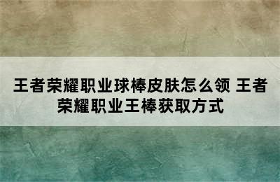 王者荣耀职业球棒皮肤怎么领 王者荣耀职业王棒获取方式